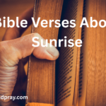 Bible Verses About Sunrise