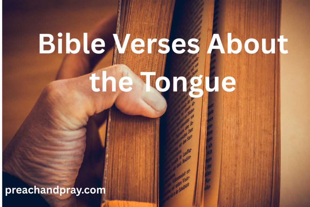 Bible Verses for Baseball Players