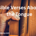 Bible Verses for Baseball Players