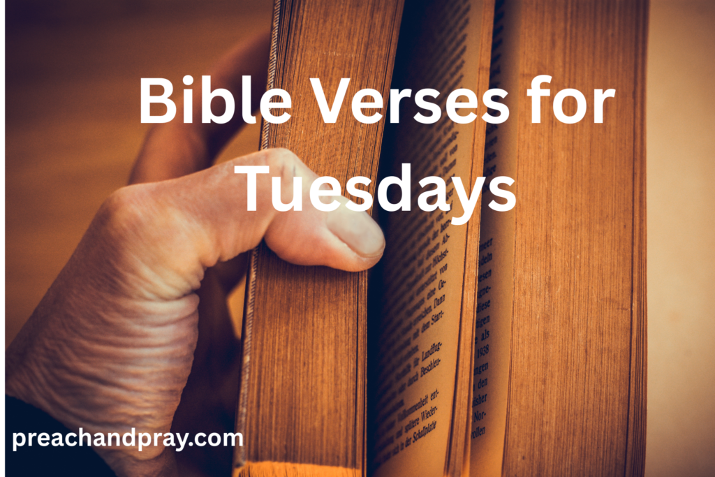 Bible Verses for Tuesdays