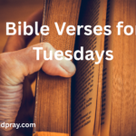Bible Verses for Tuesdays