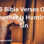 Bible Verses On Whether Is Hunting A Sin